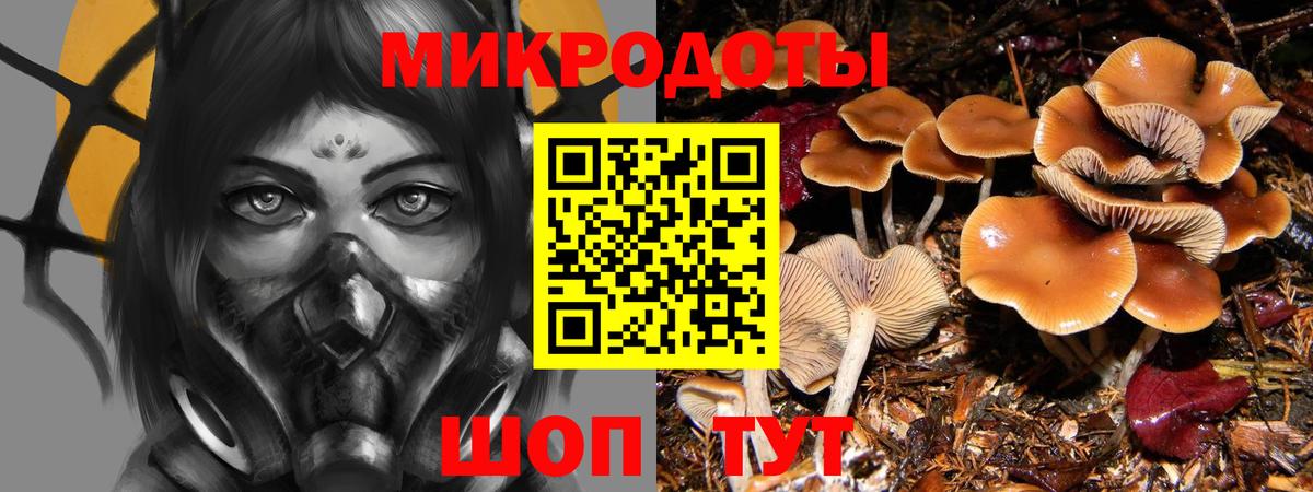 Псилоцибиновые грибы GOLDEN TEACHER Таганрог