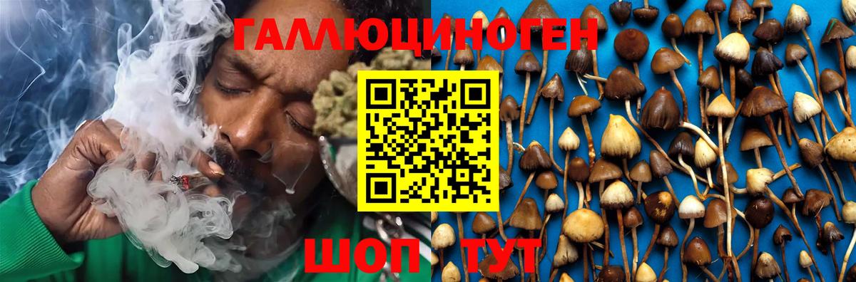 Таганрог  Галлюциногенные грибы Psilocybe  Вход с VPN  Галлюциногенные грибы Magic Shrooms 