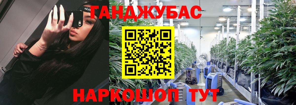 Шишки марихуана индика  Марихуана семена  Бошки марихуана план  Вход с VPN  МАРИХУАНА конопля  Таганрог 